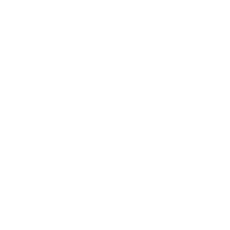 wbp--icon_drone.png