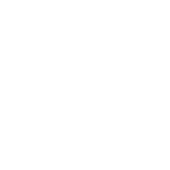 wbp--icon_video.png
